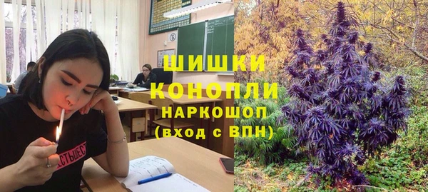 круглые Бородино