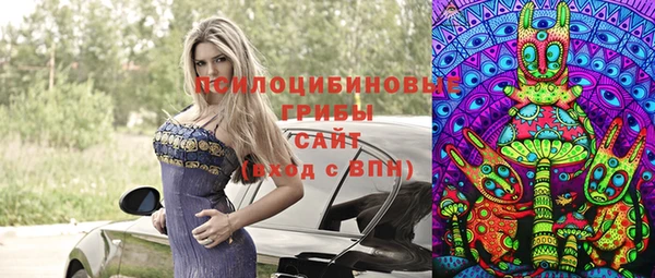 круглые Бородино